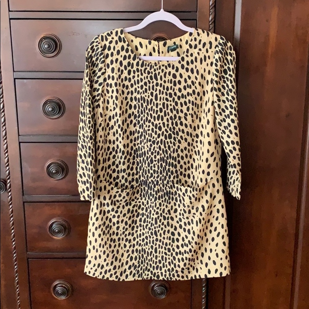 J Crew Dress